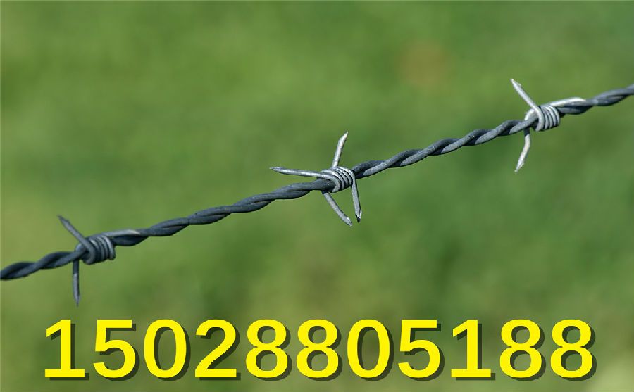 不銹鋼刺繩價格 不銹鋼刺繩價格