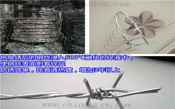 帶刺鐵絲網 帶刺鐵絲網