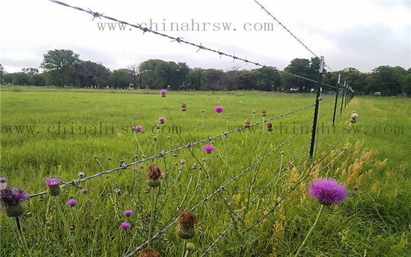 刺絲圍欄安裝圖 刺絲圍欄安裝圖