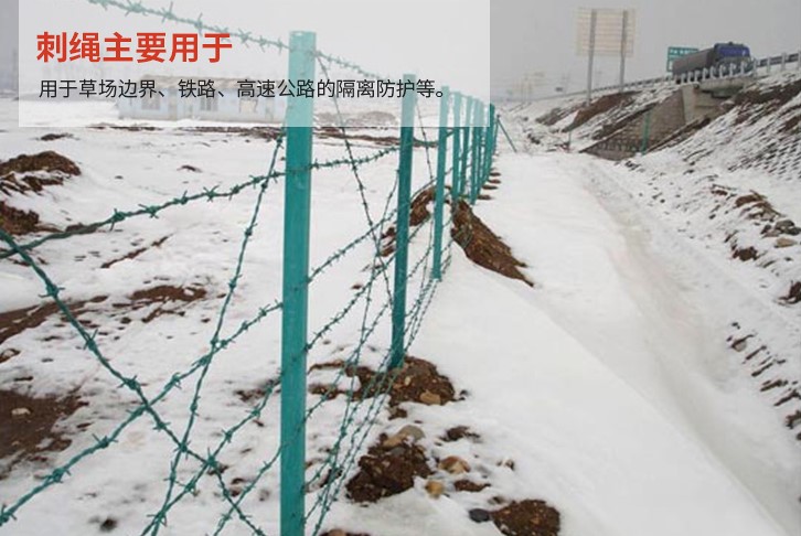 刺繩護欄網