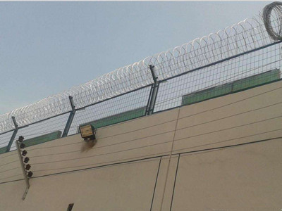 刺繩防護網 刺繩防護網